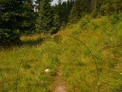 2013-07-20_Regina-F-Rau_Kochel-Rabenkopf (326).JPG